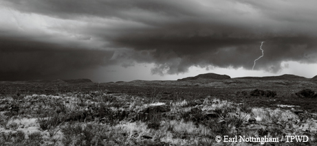 desert skies