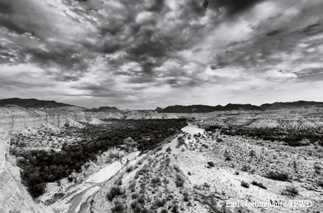 desert skies