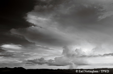 desert skies