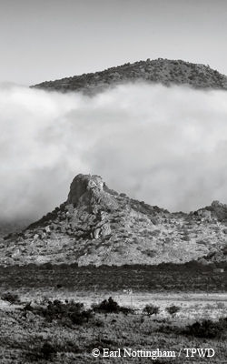 Davis Mtns.