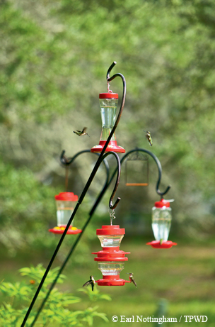 Feeders