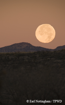 moon