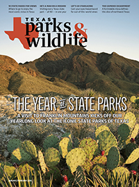 January cover image
