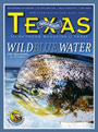 Magazine cover - salt water fishing