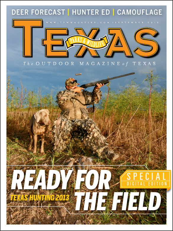 Texas Hunting cover image