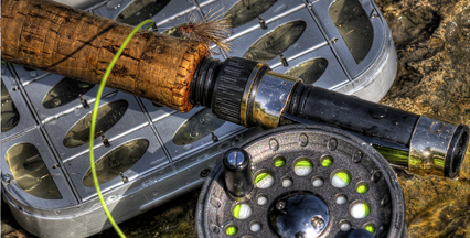 Fly rod