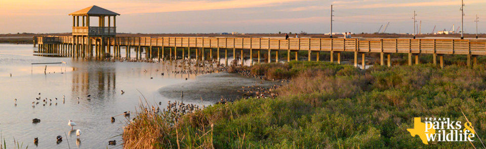 Welcome to Texas Parks & Wildlife magazine