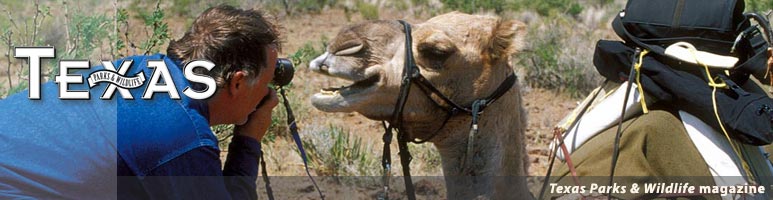 Welcome to Texas Parks & Wildlife magazine