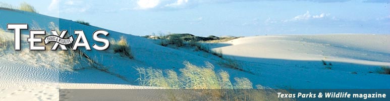 Welcome to Texas Parks & Wildlife magazine