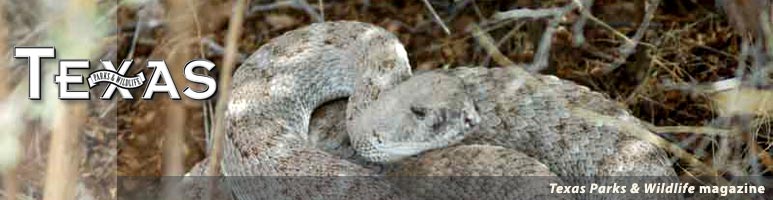 Welcome to Texas Parks & Wildlife magazine