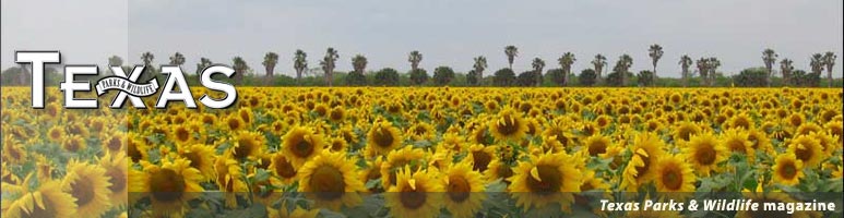 Welcome to Texas Parks & Wildlife magazine