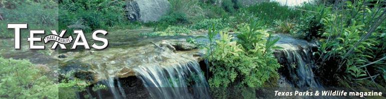 Welcome to Texas Parks & Wildlife magazine