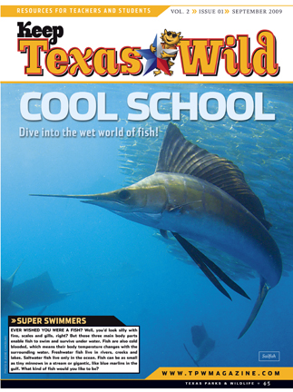 front page of the September 09 KTW