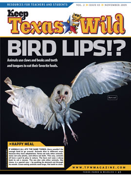 front page of the November 09 KTW