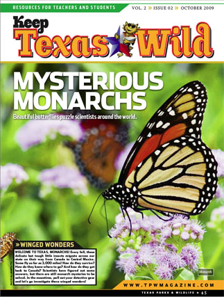 front page of the October 09 KTW