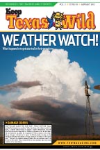 front page of the January 11 KTW