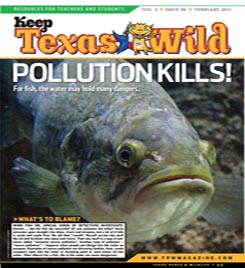 front page of the February 11 KTW