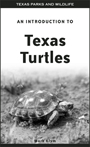 Turtles in Texas