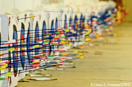 arrows in target