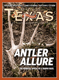 November cover image