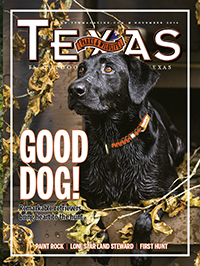 November cover image