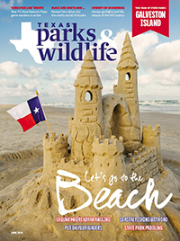 June cover image