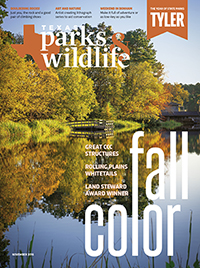 November cover image