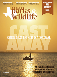October cover image
