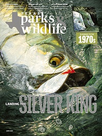 June cover image