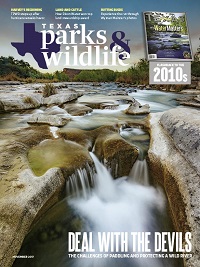 November cover image