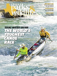 June cover image