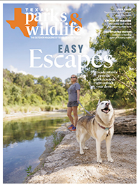 August | September cover image