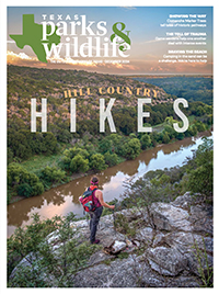 December cover image