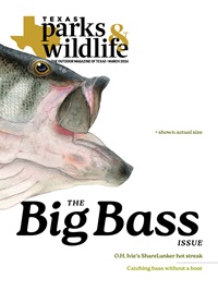 March cover image
