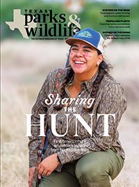 November cover image