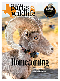 March cover image