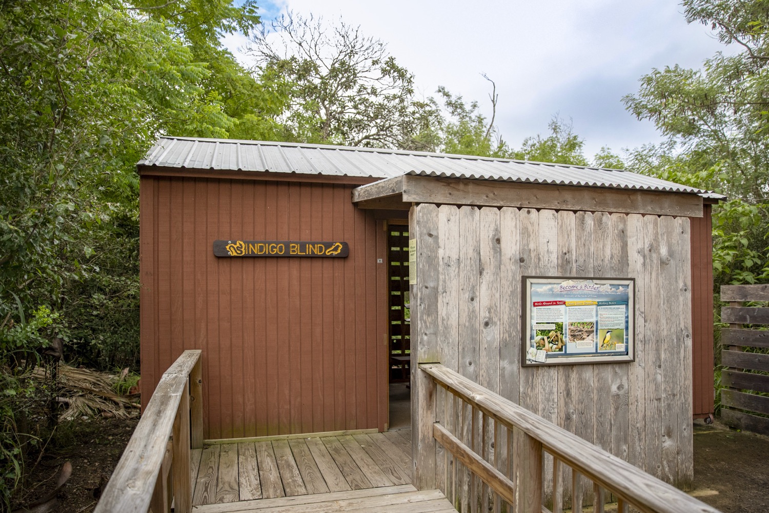 Bird Blind