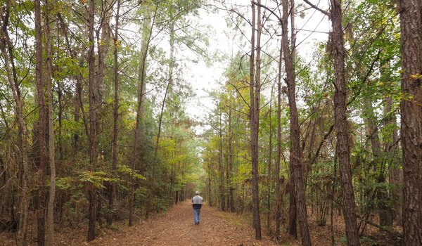 A man walks down a leaf covered trail surrounded by tall trees