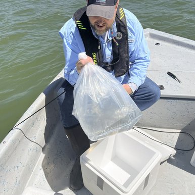 A man holding a plastic bag of water on a boat on the lake
