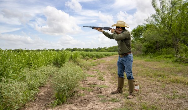 Dove hunter at Las Palomas Wildlife Management Area taking aim across a wide open green field