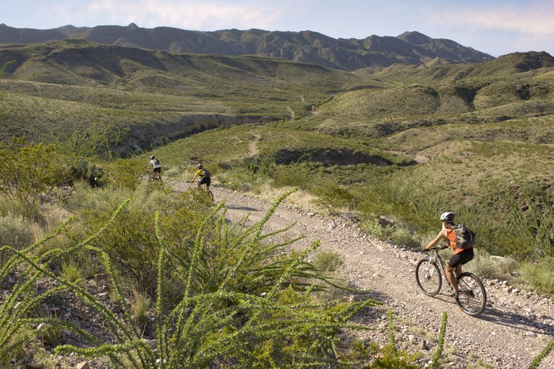 Bikers on dirt trail through Big Bend Ranch State Park and mountains in background