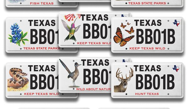 Eleven Texas Conservation Licence Plates supporting Texas Parks and Wildlife programs