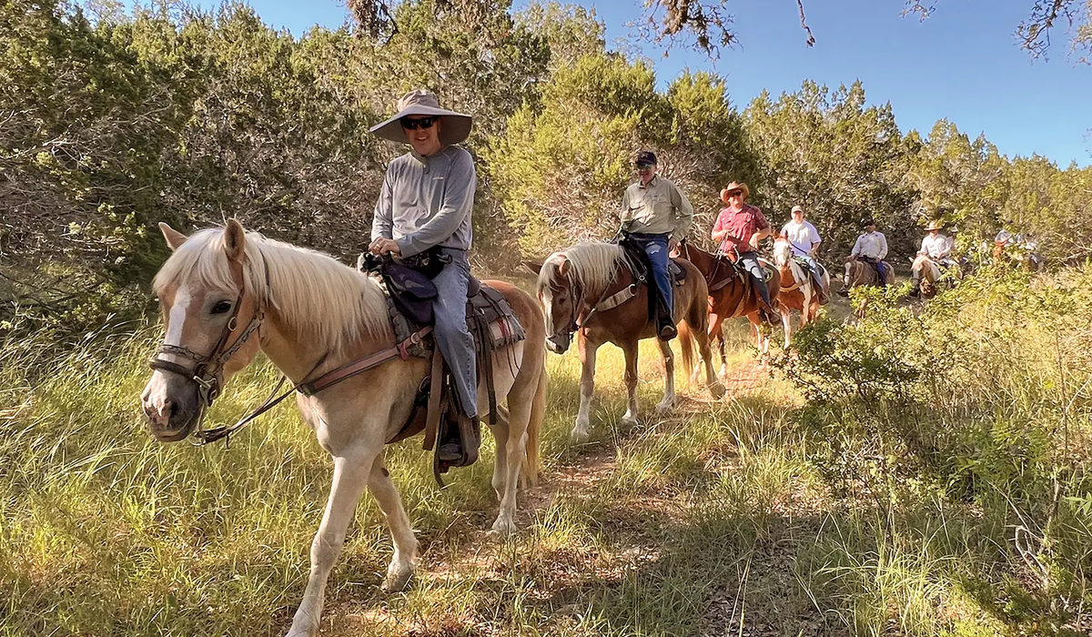 People on horseback on a trail