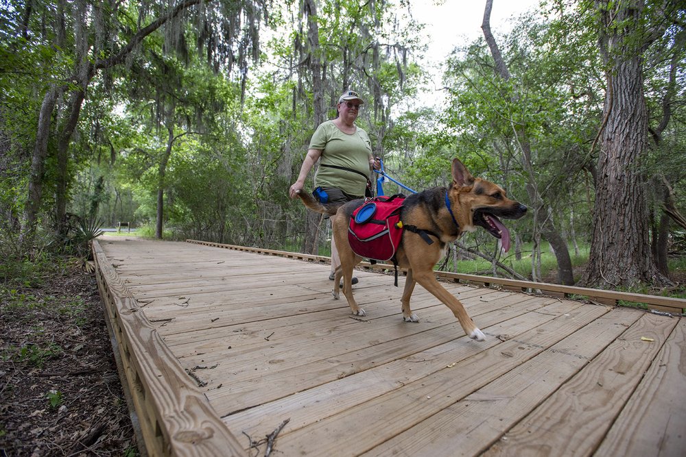 Ottine Swamp Trail at Palmetto State Park