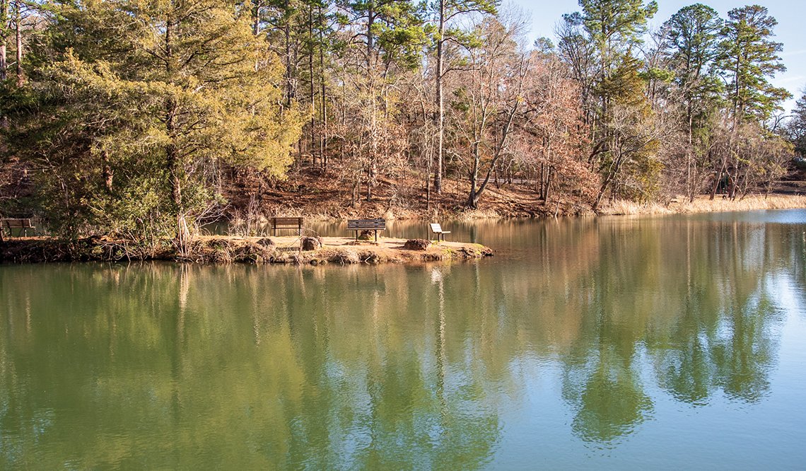 Tyler State Park view of the water with tall pines in the background