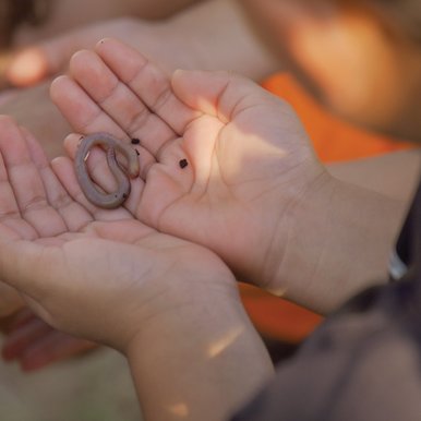A child holding a worm in their cupped hands
